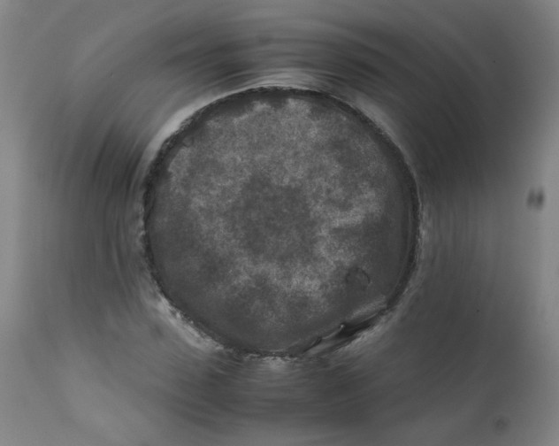 X0000112170923200909041147