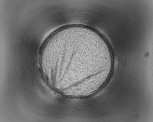 X0000112170925200909041147