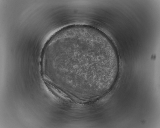 X0000112170935200909041147