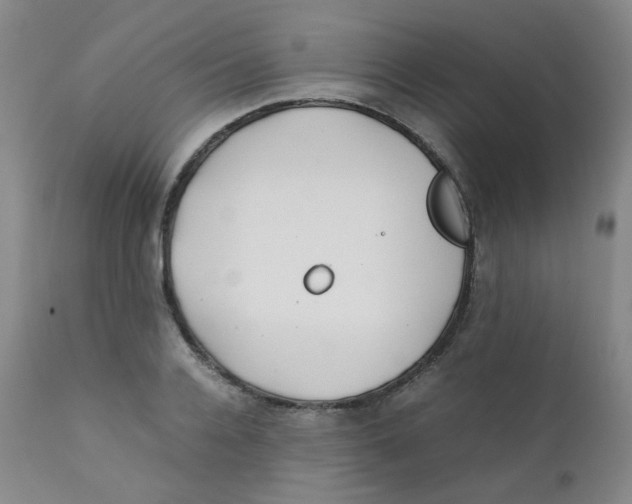 X0000112170936200909041147