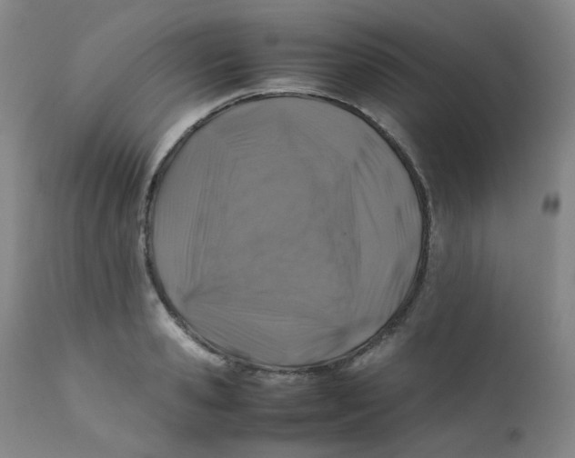 X0000112170941200909041147