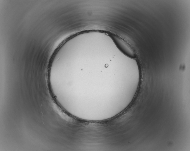 X0000112170942200909041147