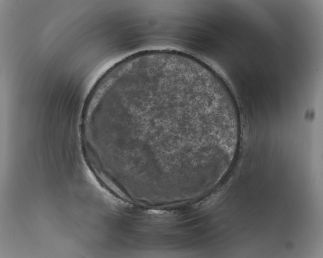 X0000112170943200909041147