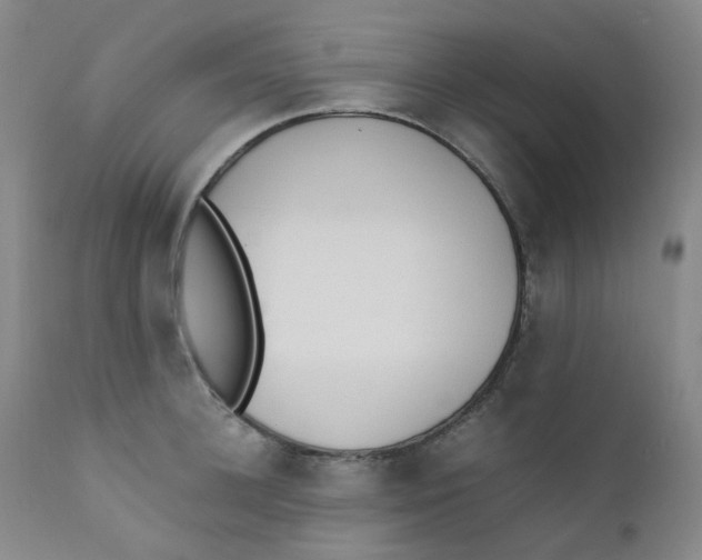 X0000112170948200909041147