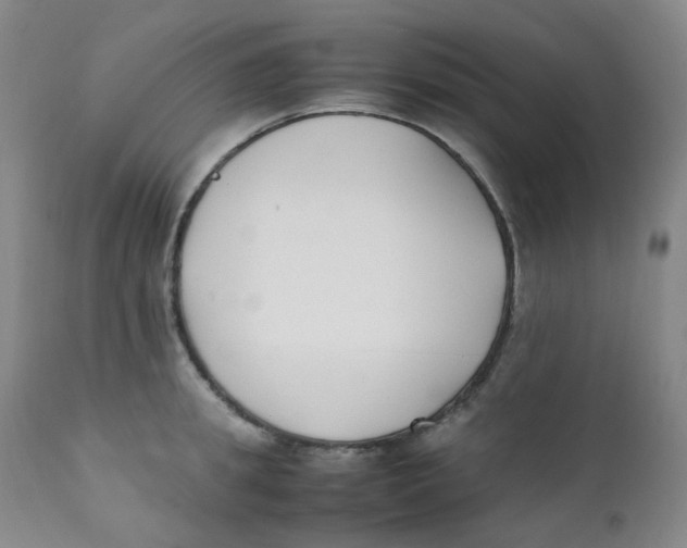 X0000112170949200909041148