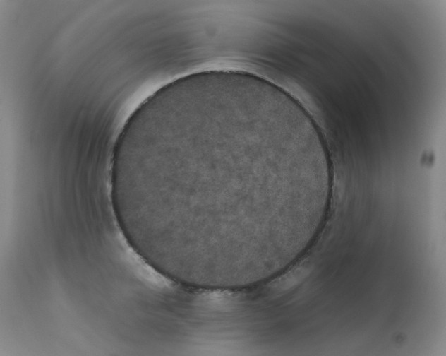 X0000112170950200909041148