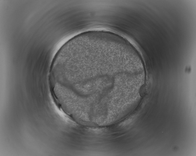 X0000112170951200909041148