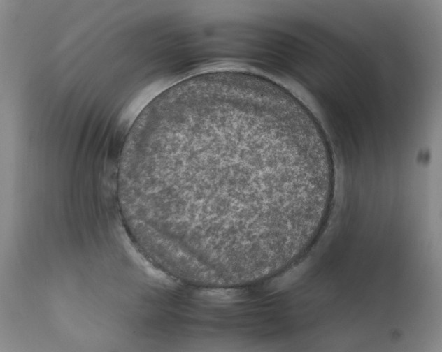 X0000112170953200909041148