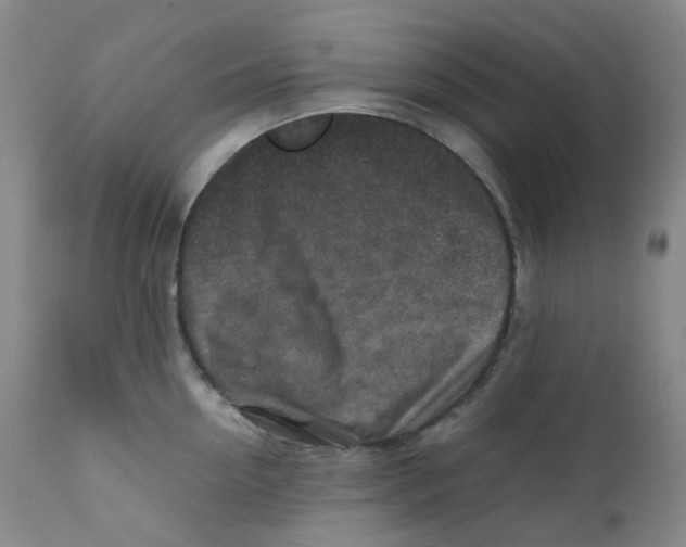 X0000112170954200909041148