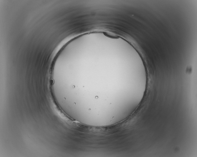 X0000112170955200909041148