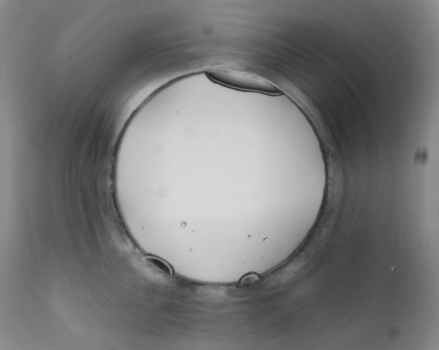 X0000112170956200909041148