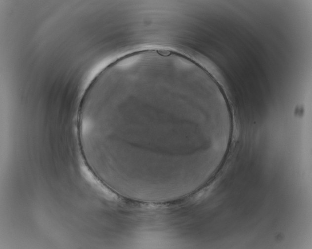 X0000112170958200909041148