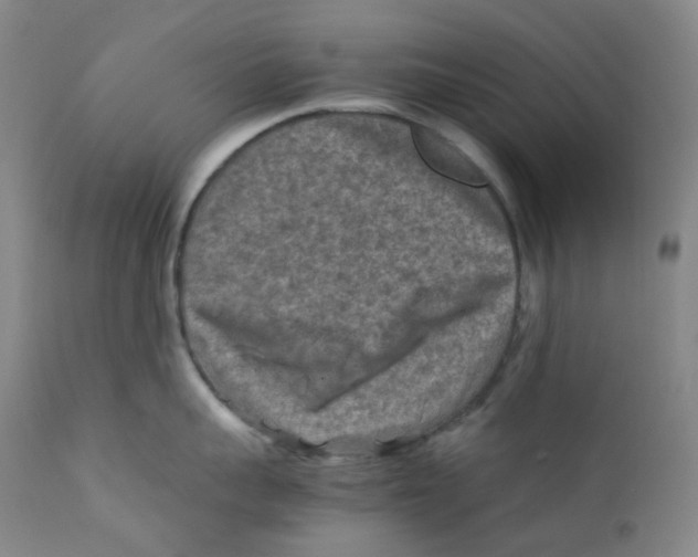 X0000112170959200909041148