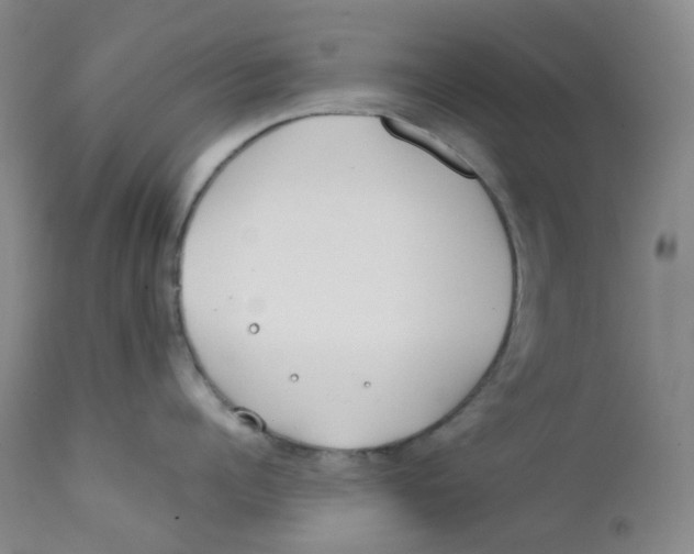 X0000112170960200909041148