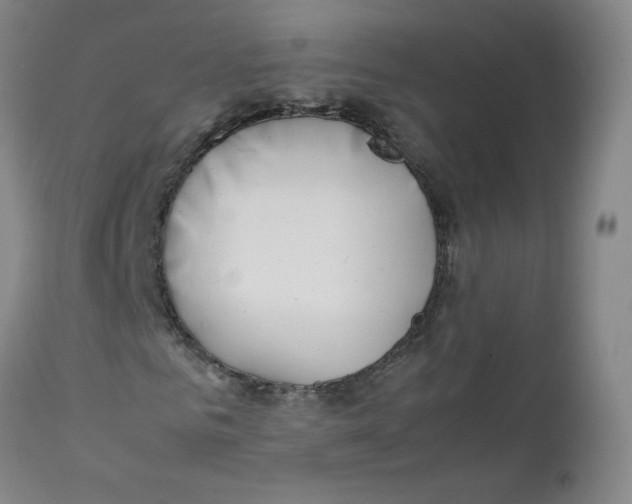 X0000112170961200909041147