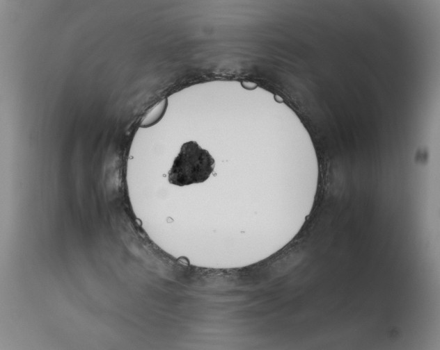 X0000112170962200909041147