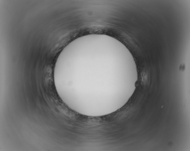 X0000112170964200909041147