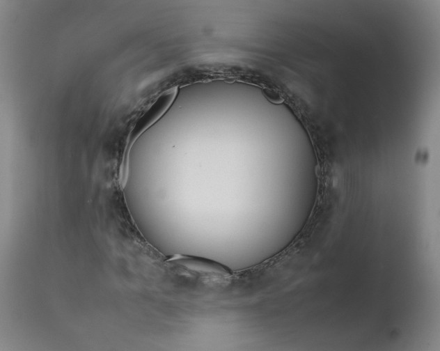 X0000112170965200909041147