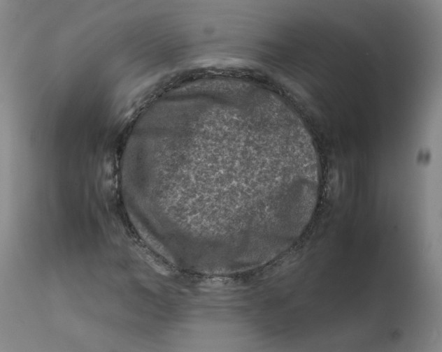 X0000112170966200909041147