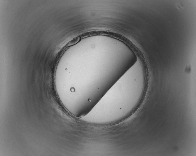 X0000112170969200909041147