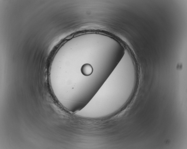 X0000112170973200909041146