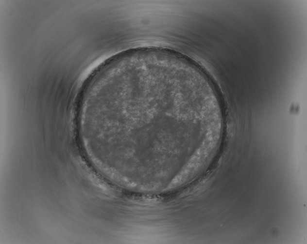 X0000112170975200909041146