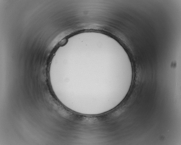 X0000112170978200909041146