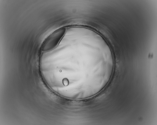 X0000112170981200909041146