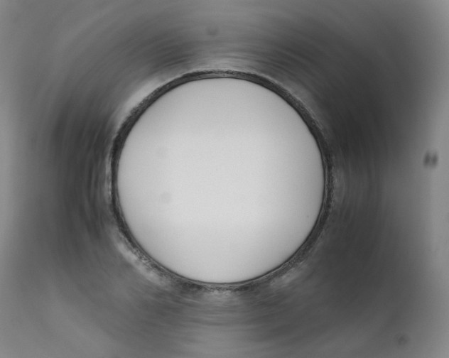 X0000112170982200909041146