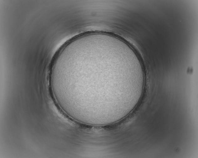 X0000112170983200909041146