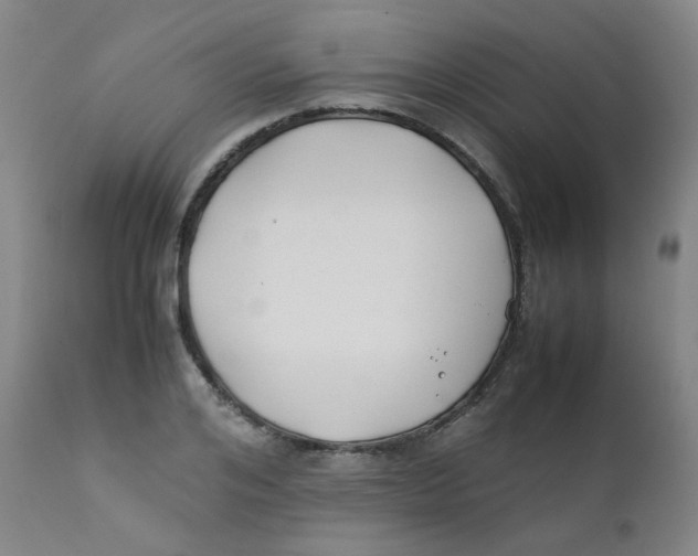 X0000112170984200909041146