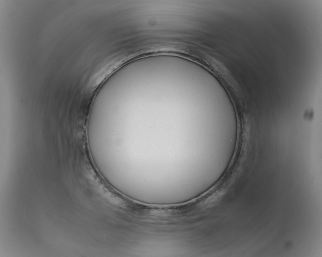 X0000112170985200909041146