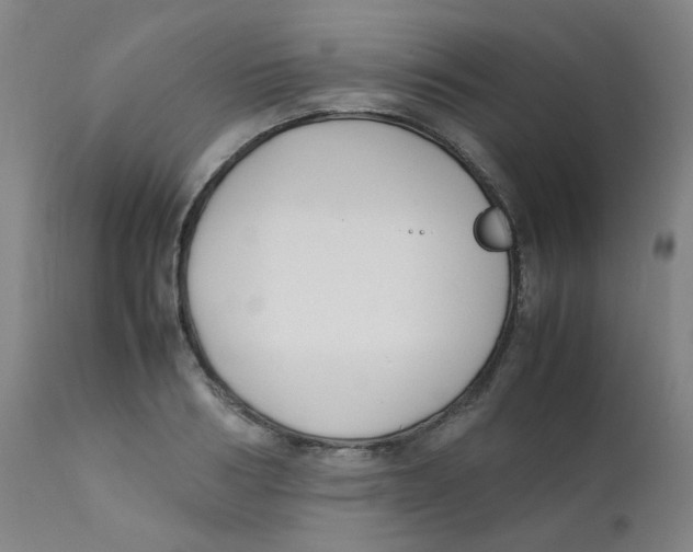 X0000112170986200909041146