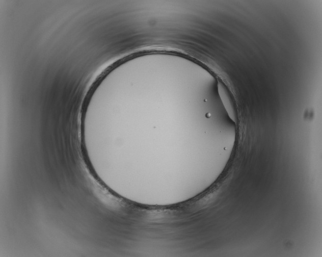 X0000112170988200909041146