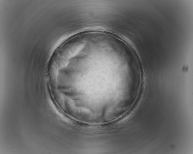 X0000112170989200909041146