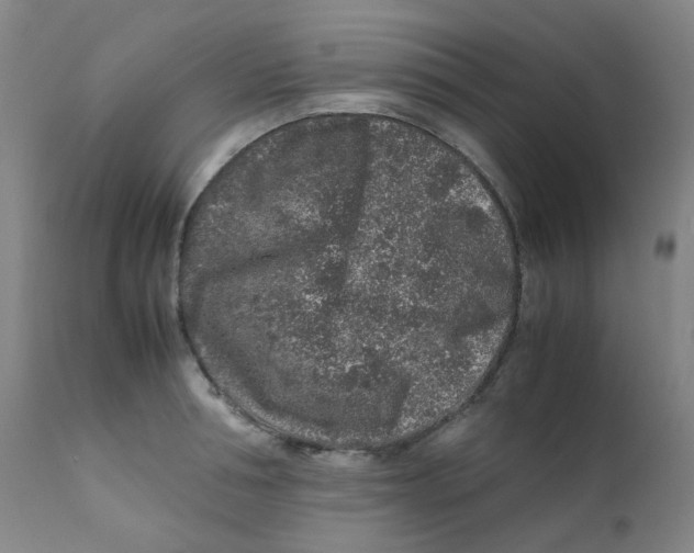 X0000112170994200909041146