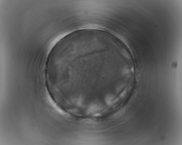 X0000112170995200909041146