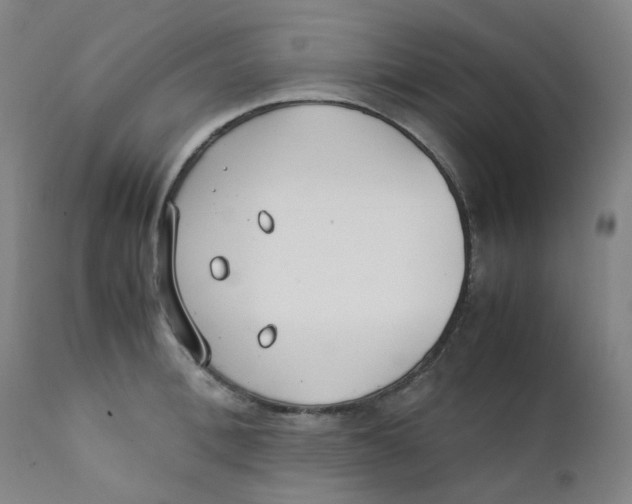 X0000112170996200909041146