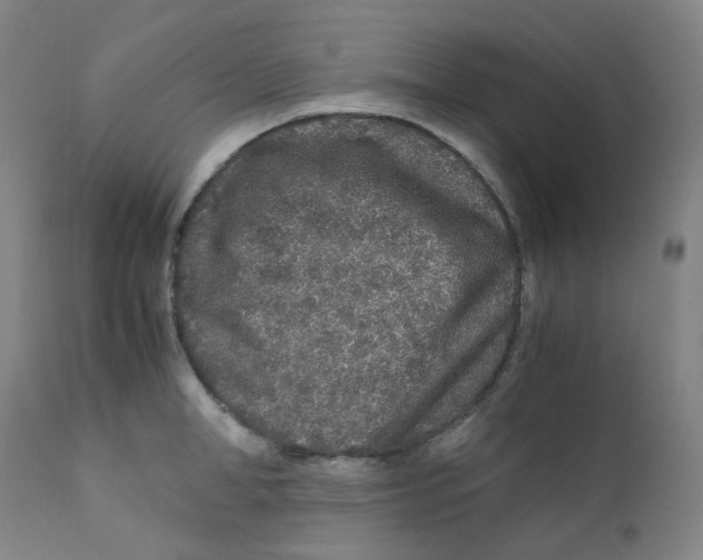 X0000112170998200909041146