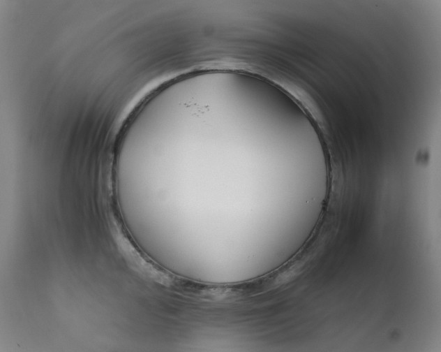 X0000112171000200909041146