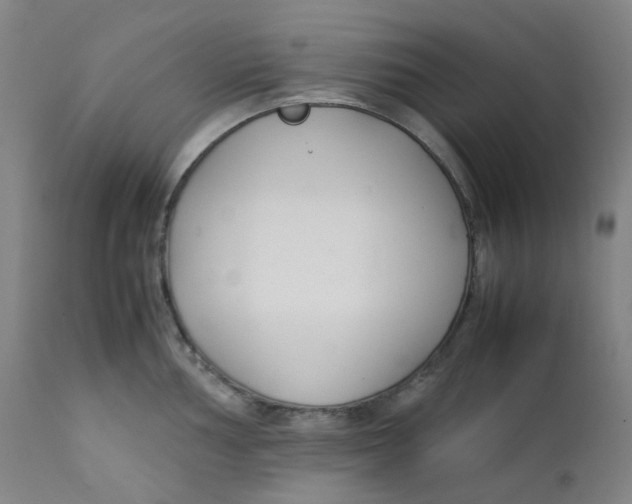 X0000112171002200909041146