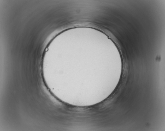 X0000112171005200909041146