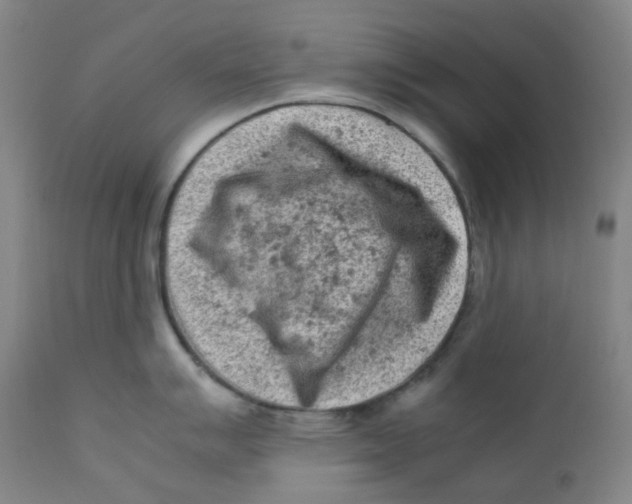 X0000112171007200909041146