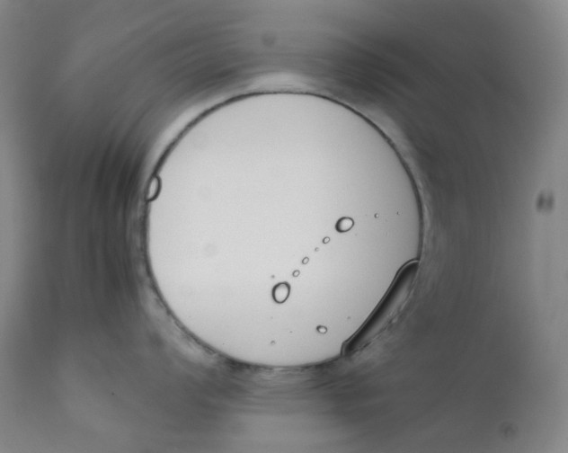 X0000112171008200909041146