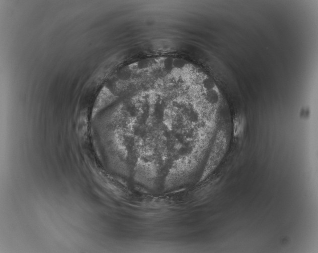 X0000112171011200909041145