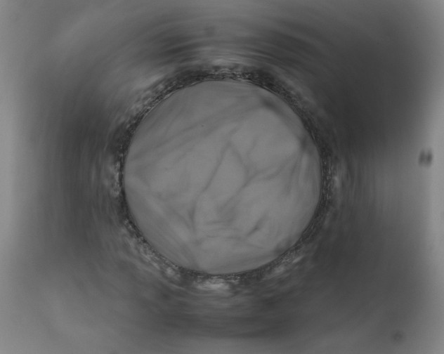 X0000112171013200909041145