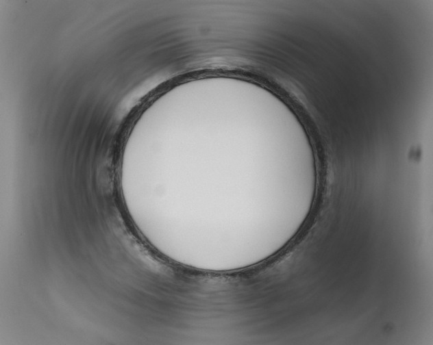 X0000112171018200909041145