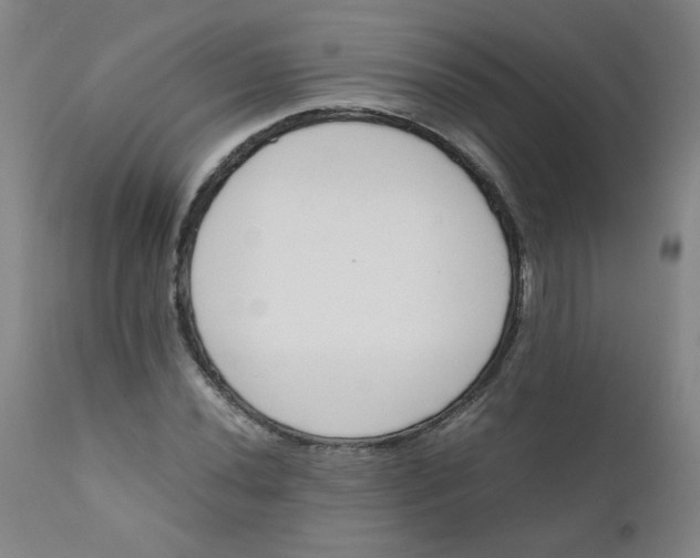 X0000112171020200909041145