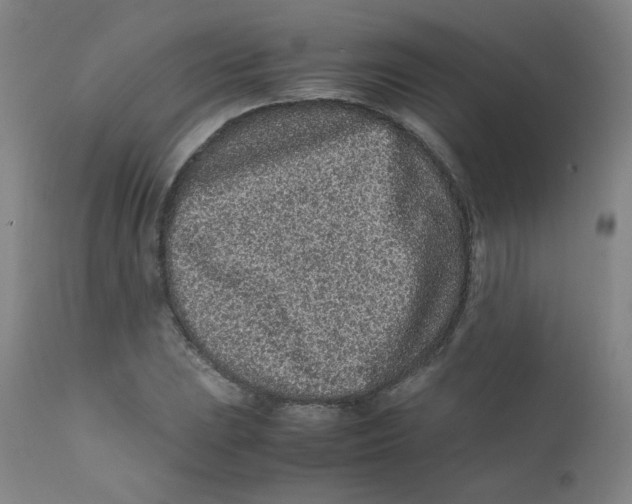 X0000112171023200909041146