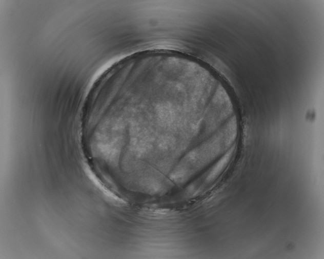 X0000112171024200909041146